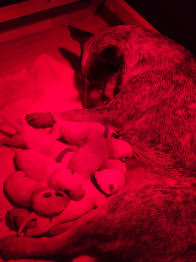 la cigogne est passée !